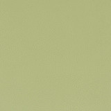 Classic 8 Pistachio by Stout Fabric Stout Fabric Classic 8 PistachioFabric ALL THINGS VERSATILE KOREA </p><p>Repeat: H: 0.000, V: 0.000 54 in - Fabric Carolina -