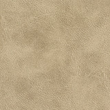 Radnor 1 Toffee by Stout Fabric Stout Fabric Radnor 1 ToffeeFabric LEATHER LOOKS IV CHINA </p><p>Repeat: H: 0.000, V: 0.000 54 in - Fabric Carolina -