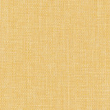 Commencement Jonquil by Carole Designer Fabric Commencement 100% Polyester-SSWR, Anti-Microbial Taiwan 50,000 Wyzenbeek Double Rubs Horizontal: None and Vertical: None 56" - Swanky Fabrics -