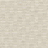 Life Long Tan by Carole Designer Fabric SHEER STRUCTURE 100% Polyester Turkey N/A Horizontal: None and Vertical: None 118" - Swanky Fabrics -