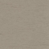 Northwind Fossil by Carole Designer Fabric New Northwind IV 100% Polyester India Passes 9,000 Double Rubs Wyzenbeek Horizontal: None and Vertical: None 54" - Swanky Fabrics -