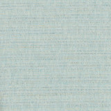 Rock Wall Caribe by Carole Designer Fabric Celadon 83% Polyester, 12% Cotton, 5% Rayon India N/A Horizontal: None and Vertical: None 55" - Swanky Fabrics -