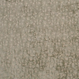 Sleeping Bear Dune by Carole Designer Fabric Jungle Safari 100% Polyester China Passes 50,000 Double Rubs Wyzenbeek Horizontal: 5" and Vertical: 5 1/2" V 55" - Swanky Fabrics -