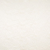 Dancing Shoes Ivory by Carole Designer Fabric WINNER'S CIRCLE 100% Polyester China N/A Horizontal: 10" and Vertical: 9" V 56" - Swanky Fabrics - Dancing Shoes Ivory by Carole Designer Fabric WINNER'S CIRCLE 100% Polyester China N/A Horizontal: 10" and Vertical: 9" V 56" - Swanky Fabrics -