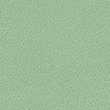 Steinbeck Aloe by Nassimi Designer Fabric See sample 95% Polyurethane (Polycarbonate)5% Silicone  300000 Horizontal: Not Applicable and Vertical: Not Applicable 54"  - Swanky Fabrics -