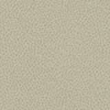 Steinbeck Crater by Nassimi Designer Fabric See sample 95% Polyurethane (Polycarbonate)5% Silicone  300000 Horizontal: Not Applicable and Vertical: Not Applicable 54"  - Swanky Fabrics -