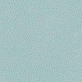 Steinbeck Geyser by Nassimi Designer Fabric See sample 95% Polyurethane (Polycarbonate)5% Silicone  300000 Horizontal: Not Applicable and Vertical: Not Applicable 54"  - Swanky Fabrics -