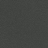 Steinbeck Iron by Nassimi Designer Fabric See sample 95% Polyurethane (Polycarbonate)5% Silicone  300000 Horizontal: Not Applicable and Vertical: Not Applicable 54"  - Swanky Fabrics -