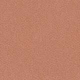 Steinbeck Peony by Nassimi Designer Fabric See sample 95% Polyurethane (Polycarbonate)5% Silicone  300000 Horizontal: Not Applicable and Vertical: Not Applicable 54"  - Swanky Fabrics -