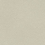 Steinbeck Sediment by Nassimi Designer Fabric See sample 95% Polyurethane (Polycarbonate)5% Silicone  300000 Horizontal: Not Applicable and Vertical: Not Applicable 54"  - Swanky Fabrics -