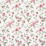 Beluze Magenta 179622 by Schumacher Fabric Schumacher Fabric Beluze Magenta 179622Fabric COTTON 100% THAILAND </p><p>Repeat: H: HORZ. 18" (46CM) , V: VERT. 18" (46CM) 54 - Fabric Carolina - Beluze Magenta 179622 by Schumacher Fabric Schumacher Fabric Beluze Magenta 179622Fabric COTTON 100% THAILAND </p><p>Repeat: H: HORZ. 18" (46CM) , V: VERT. 18" (46CM) 54 - Fabric Carolina -