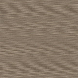 Admission Khaki by Carole Designer Fabric Fortitude 64% Spun Polyester, 36% Poly Fil India Passes 30,000 Circular Rubs Martindale </p><p>Repeat: None 55" - Swanky Fabrics -