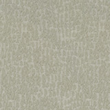 Regine Flint 410101 by PKL Studio Designer Fabric - 100%Polyester INDIA 12000 Horizontal: 9.3 and Vertical: 11.9 54 - Swanky Fabrics -