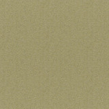 Patagonia # 840 Lemongrass by Maxwell Designer Fabric COLORGUARD-AMAZONIA 66% POLYPROPYLENE/25% POLYAMIDE
9% POLYESTER TURKEY See sample </p><p>Repeat: Horizontal: and Vertical: 55.9" - Swanky Fabrics -