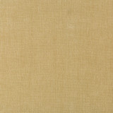36076-161 by Kravet Smart Designer Fabric PERFORMANCE KRAVETARMOR POLYESTER - 62%;COTTON - 38% India HEAVY Horizontal: 0 and Vertical: 0 54 - Swanky Fabrics -