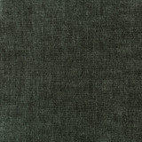 36076-811 by Kravet Smart Designer Fabric PERFORMANCE KRAVETARMOR POLYESTER - 62%;COTTON - 38% India HEAVY Horizontal: 0 and Vertical: 0 54 - Swanky Fabrics -