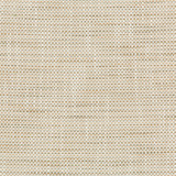36082-161 by Kravet Design Designer Fabric INSIDE OUT PERFORMANCE FABRICS POLYESTER - 92%;OLEFIN - 8% United States HEAVY Horizontal: 0 and Vertical: 0 55.75 - Swanky Fabrics -