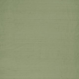 Slyph Pistachio by Clarke And Clarke Designer Fabric WILDERIE BY EMMA J SHIPLEY FOR C&C SILK - 100% India Horizontal: 0 and Vertical: 0 54 - Swanky Fabrics -