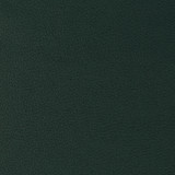 Genslar-35 by Kravet Design Designer Fabric POLYURETHANE - 100% Japan HEAVY Horizontal: 0 and Vertical: 0 54 - Swanky Fabrics -