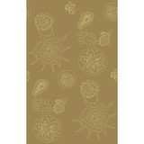 Telescopic P Sanddollar by Kravet Couture Designer Wallcovering PAPERSCAPE ARTIST SERIES PAPER - 100% United States Horizontal: 27 and Vertical: 72 27 - Swanky Fabrics -