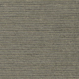 S3831 Mercury by Greenhouse Designer Fabric 95% Polyester, 5% Viscose China 50,000 double rubs </p><p>Repeat: None 55" - Swanky Fabrics -