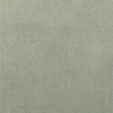 S1053 Platinum by Greenhouse Designer Fabric 75% Polyester, 25% Cotton China 201,000 double rubs </p><p>Repeat: None 54" - Swanky Fabrics -