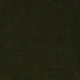 S2353 Moss by Greenhouse Designer Fabric 100% Polyester India 50,000 double rubs </p><p>Repeat: None 54" - Swanky Fabrics -