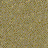 Stars Above Lichen by Carole Designer Fabric Marble & Brass 100% Polyester China 15,000 Double Rubs Wyzenbeek None 57" - Swanky Fabrics -