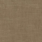 Bessarion Pecan by Carole Designer Fabric Prominence 71% Polyester, 29% Cotton India 15,000 Wyzenbeek Double Rubs None 55" - Swanky Fabrics -