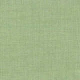 Rally Palm by Norbar Designer Fabric ATRIUM 100% POLYESTER WITH ACRYLIC S. KOREA 55 - Swanky Fabrics -