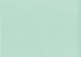 Shuster Seagreen by Norbar Designer Fabric BLISS 100% INHERENTLY FLAME INDIA 54 - Swanky Fabrics -