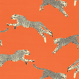 Leaping Cheetah Cotton Print/Clementine by Scalamandre Fabric Scalamandre Fabric Leaping Cheetah Cotton Print/ClementineFabric SAHARA 100% COTTON ITALY </p><p>Repeat: H: 25.125", V: 27.5" 55" - Fabric Carolina -