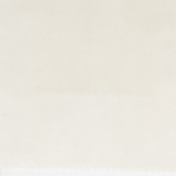 Haiku 1 Bone by Stout Designer Fabric LIVING IS EASY CHAMPAGNE/TOAST 100%POL TURKEY CATB 117-2013 MARTINDALE WEAR TEST (20 000 CIRCULAR RUBS) Horizontal: 0.000 and Vertical: 0.000 55 in - Swanky Fabrics -