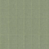 Moray Wintergreen 410657 by PKL Studio Designer Fabric - 50% Polyester 50% Cotton INDIA 51000 Horizontal: 4 and Vertical: 4.5 54 - Swanky Fabrics -