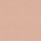 Vernon Blush 410936 by PKL Studio Designer Fabric - 100% Cotton INDIA 21000 Horizontal: 0 and Vertical: 0 55 - Swanky Fabrics -