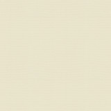 Vernon Cream 410946 by PKL Studio Designer Fabric - 100% Cotton INDIA 21000 Horizontal: 0 and Vertical: 0 55 - Swanky Fabrics -