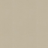 Vernon Sand 410948 by PKL Studio Designer Fabric - 100% Cotton INDIA 21000 Horizontal: 0 and Vertical: 0 55 - Swanky Fabrics -