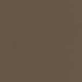 Vernon Sable 410953 by PKL Studio Designer Fabric - 100% Cotton INDIA 21000 Horizontal: 0 and Vertical: 0 55 - Swanky Fabrics -