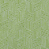 F4141 Kiwi by Greenhouse Designer Fabric 61% Polypropylene, 39% Polyester
 2,000 Light Hours Mexico 27,000 </p><p>Repeat: 9.5" H, 10.125" V 55" - Swanky Fabrics -