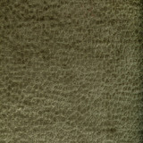36606.130.0 by Kravet Fabric Kravet Fabric 36606.130.0Fabric PERFORMANCE KRAVETARMOR POLYESTER - 100% China </p><p>Repeat: H: 0, V: 0 55 - Fabric Carolina -