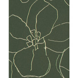 WTN1007.WT.0 by Winfield Thybony Wallcovering Winfield Thybony Wallcovering WTN1007.WT.0Wallcovering WINFIELD THYBONY TANIYA NAYAK MYLAR ON NON WOVEN - 100% United States </p><p>Repeat: H: , V: 36 54 - Fabric Carolina -