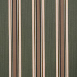4801 Emblem Fern by Sunbrella Designer Fabric Sunbrella Mayfield Collection 100% Sunbrella® Acrylic USA or Imported 10-Year Horizontal: and Vertical: 46 in. - Swanky Fabrics -