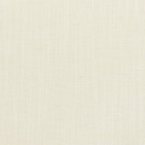 Alberto 2 Ivory by Stout Fabric Stout Fabric Alberto 2 IvoryFabric TEXTURE APPEAL 58%COT 42%POL INDIA </p><p>Repeat: H: 0.000, V: 0.000 54 in - Fabric Carolina -