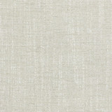 Alberto 5 Ash by Stout Fabric Stout Fabric Alberto 5 AshFabric TEXTURE APPEAL 58%COT 42%POL INDIA </p><p>Repeat: H: 0.000, V: 0.000 54 in - Fabric Carolina -