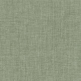 Trevor 2 Aloe by Stout Fabric Stout Fabric Trevor 2 AloeFabric LIVING IS EASY ALOE/MINERAL 100%POL CHINA </p><p>Repeat: H: 0.000, V: 0.000 54 in - Fabric Carolina -