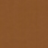 Cervantes 2 Pecan by Stout Fabric Stout Fabric Cervantes 2 PecanFabric LEATHER LOOKS V 100%PVC 1%OTH CHINA </p><p>Repeat: H: 0.000, V: 0.000 54 in - Fabric Carolina -