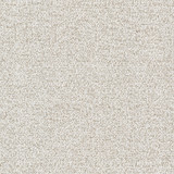 Bonita 2 Birch by Stout Fabric Stout Fabric Bonita 2 BirchFabric CLOUD NINE 69%COT 31%POL USA </p><p>Repeat: H: 0.000, V: 0.000 54 in - Fabric Carolina - Bonita 2 Birch by Stout Fabric Stout Fabric Bonita 2 BirchFabric CLOUD NINE 69%COT 31%POL USA </p><p>Repeat: H: 0.000, V: 0.000 54 in - Fabric Carolina -