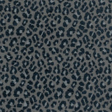 Dauphine 2 Ink by Stout Fabric Stout Fabric Dauphine 2 InkFabric COMFORTABLE LIVING HAZE/NAVY 100%POL MEXICO </p><p>Repeat: H: 3.250, V: 4.000 54 in - Fabric Carolina -