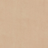 Odean 4 Sesame by Stout Fabric Stout Fabric Odean 4 SesameFabric LEATHER LOOKS V 100%POU 100%OTH CHINA </p><p>Repeat: H: 0.000, V: 0.000 54 in - Fabric Carolina -