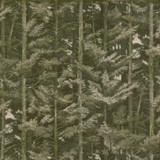 Latvia 2 Olive by Marcus William Fabric Marcus William Fabric Latvia 2 OliveFabric KAI/MARCUS WILLIAM HEATHLAND 90%POL 10%COT INDIA </p><p>Repeat: H: 54.375, V: 32.625 54 in - Fabric Carolina -